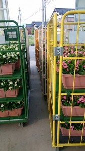 18623011_1340941552650574_1434141991_n