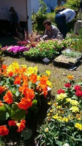 18623094_1339205136157549_231966235_n