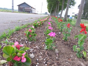 18642112_1341796585898404_1147452274_o