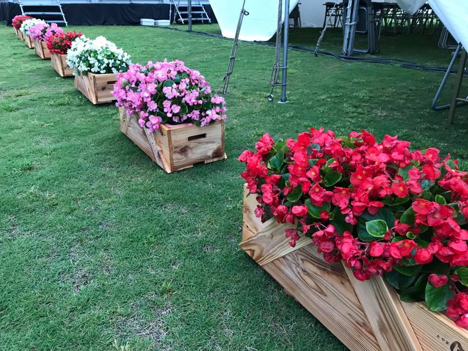 全国植樹祭会場の写真が届きました！！