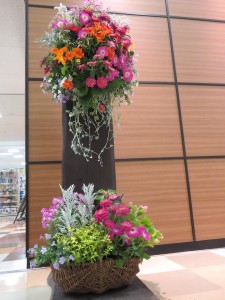 18664194_1342643442480385_149552958438361332_n