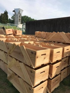 18664261_806926539461035_4153471741245686950_n