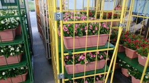 18676681_1340941635983899_1677927822_o