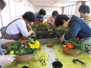 18697849_1343542129057183_256020341_o