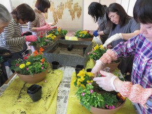 18697952_1343542145723848_1583025825_o