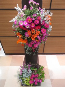 18698302_1342643535813709_2654864715250754519_n