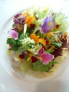 18699373_1204952709633583_1064847547595388619_o