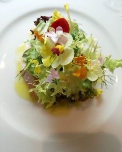 18699953_1207451966050324_4606004159405876958_n