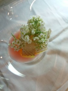 18700133_1209065382555649_6973540828316964857_n