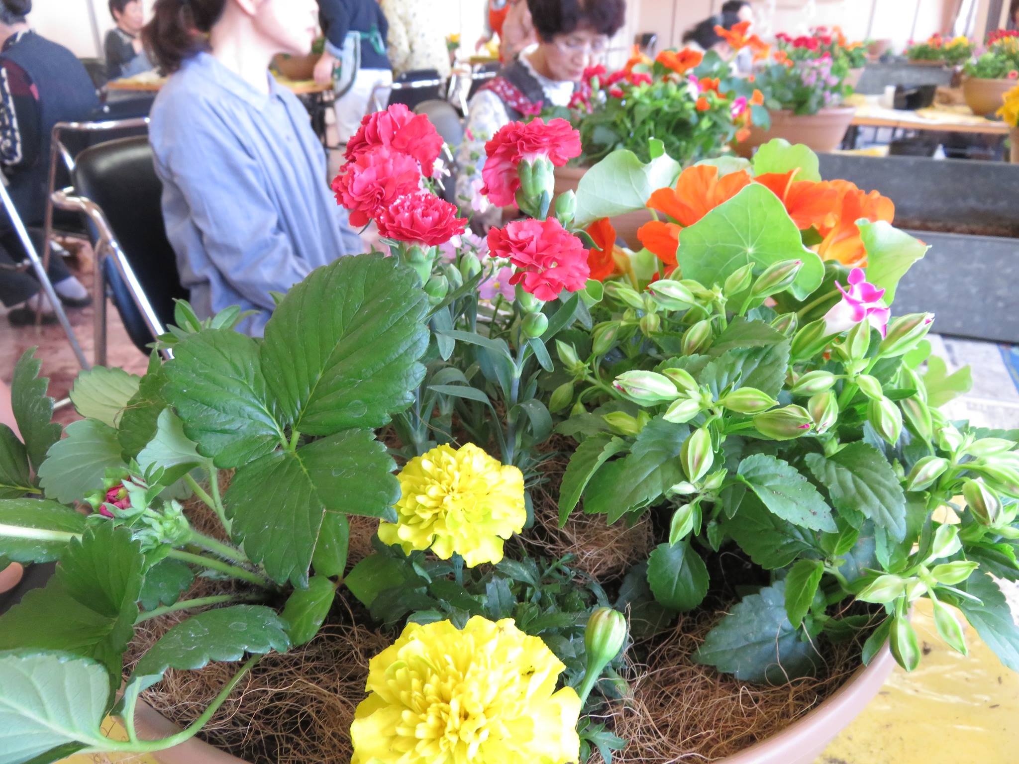 JA福光さんで美食花の寄せ植え教室