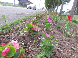 18721084_1341796542565075_1386897817_o