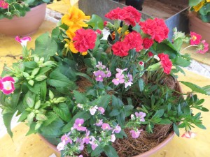 18721093_1343543189057077_363634934_o