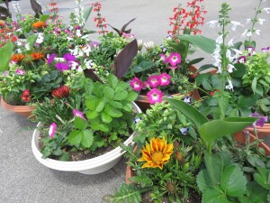 18738900_1346307658780630_4235315159246726367_o