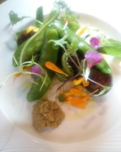 18739695_1206511389477715_5493463630614296877_n