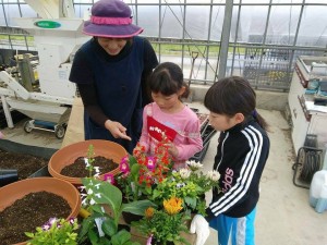 18765580_1346307258780670_8836584672117128050_n