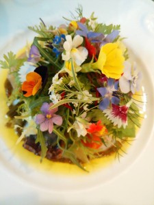 18767650_1209879275807593_219927079286126054_n