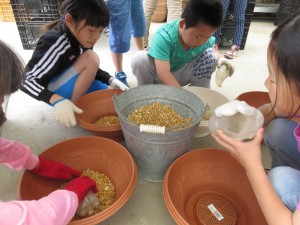 18768606_1346307002114029_4225543186453778049_o