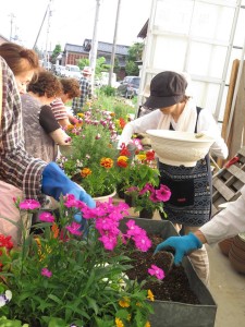 18788616_1349119191832810_1548630775_n