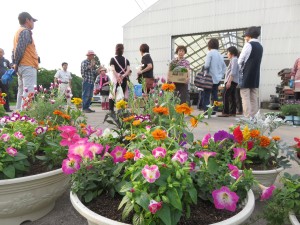 18789819_1349119361832793_1947094086_o