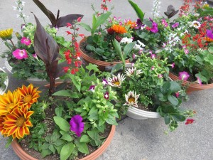 18814923_1346307655447297_5010731752573244288_o