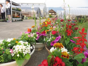 18818009_1349119365166126_1649866361_o