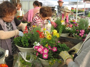 18818285_1349119205166142_1269336890_o