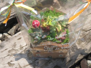 18818363_1349743955103667_1998040163_o