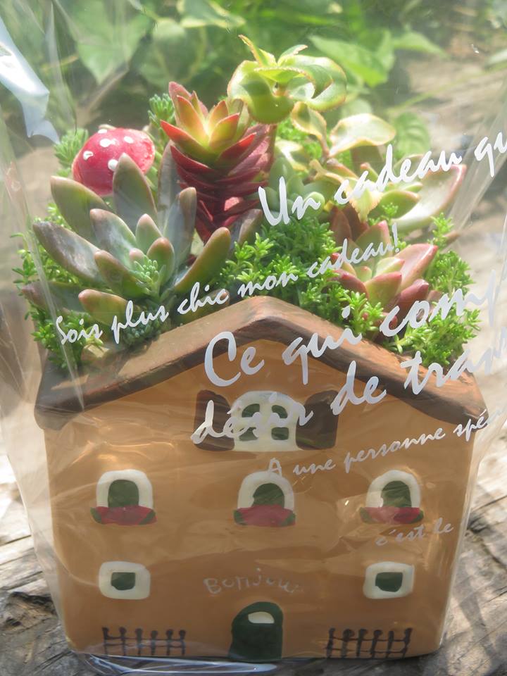 新築のお祝いに♪