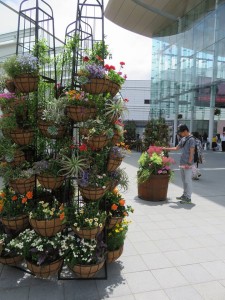 18740227_1352319388179457_3704345532964509228_n