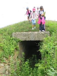 18740683_1353500788061317_3591316513609395479_n