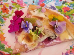 18813837_1352319634846099_2327449490036259754_n