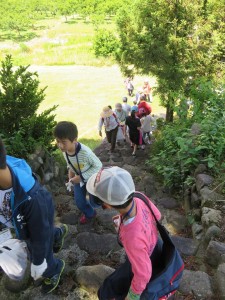 18814307_1353492804728782_4048992155082177606_n