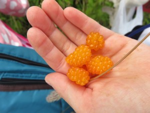 18815397_1353485351396194_5285263261046905454_o