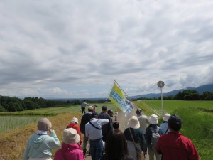 18839576_1353484404729622_4675544685335729332_o