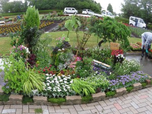 18870406_1352025451542184_929211247_o