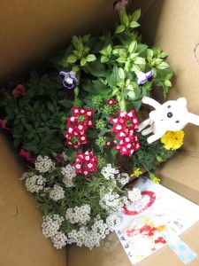 18871113_1350110508400345_189001735_n