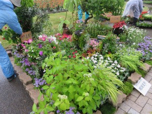 18901146_1352029238208472_1176885687_o