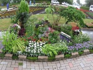 18901307_1352028158208580_776445846_o