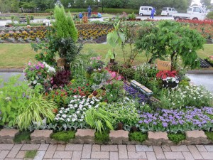 18901953_1352028171541912_1217746935_o