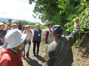 18920766_1353482874729775_5321910598353387505_o