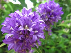 18921709_1361434943934568_7922652672295523711_n