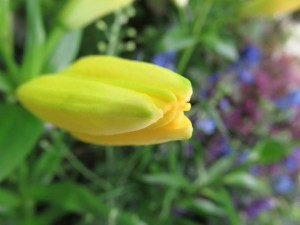 18921741_1361434917267904_4487405416602822427_n