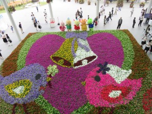 18926619_1353094351435294_1748931867_o