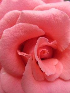 18944862_1353094318101964_1024610992_n