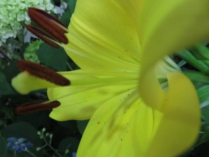 18951156_1361434893934573_7892585804373682158_n