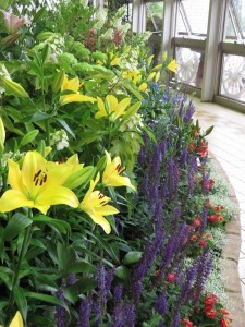 18951504_1361435140601215_8064436460951502686_n