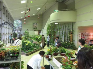 18952615_1361435287267867_4316951788690551261_n