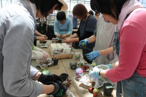 18952747_1362487477162648_881717079104558002_n