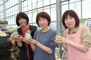 18952767_1362487697162626_8429207541218333598_n