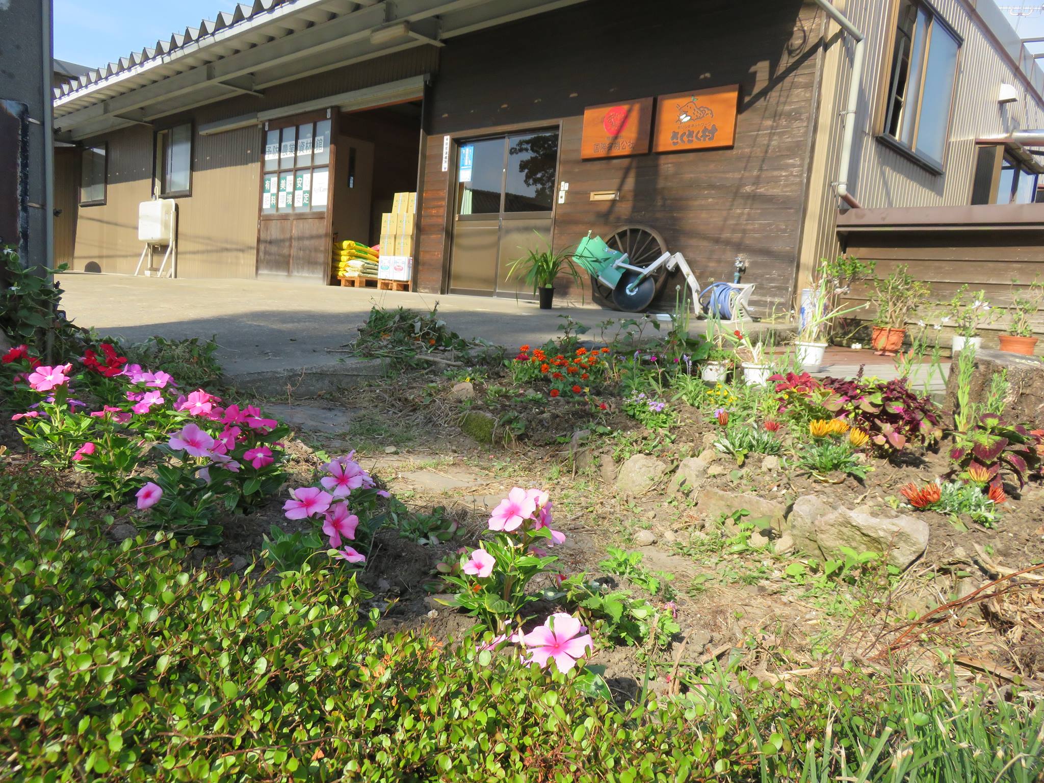 会社前の花壇の植栽ご依頼♪